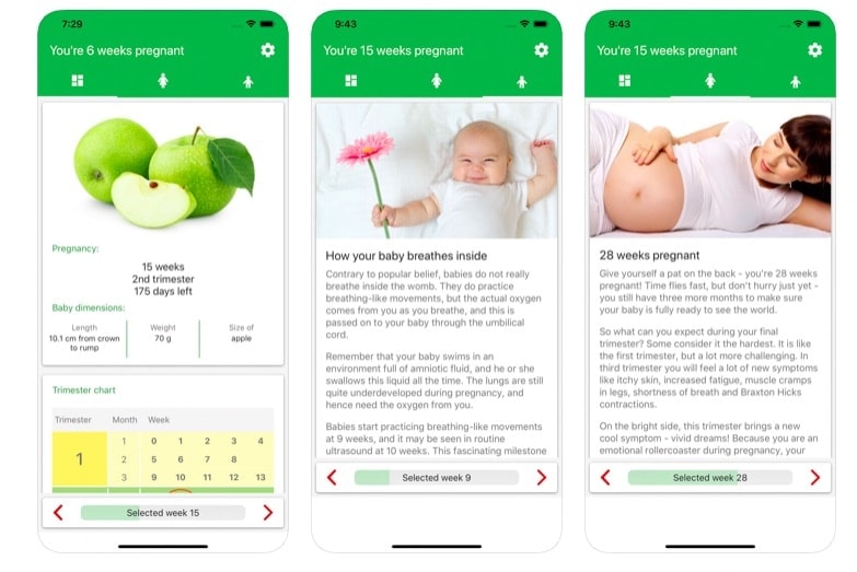 pregnancy-week-by-week