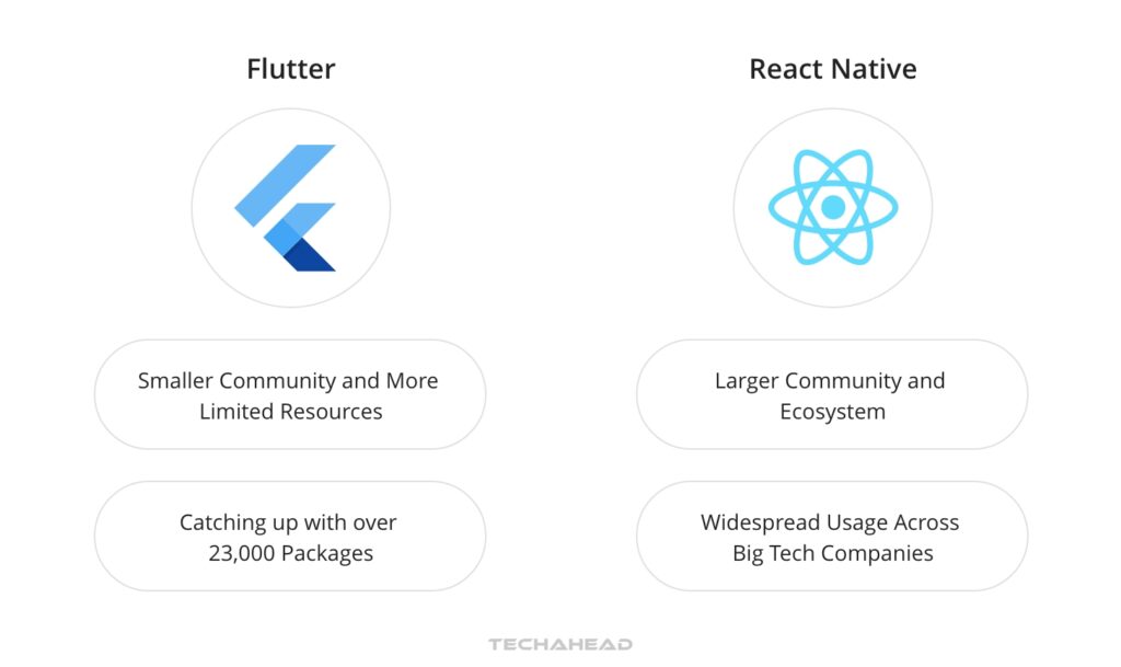 Ecosystem and Community- Vast Networks Supporting Flutter and React Native