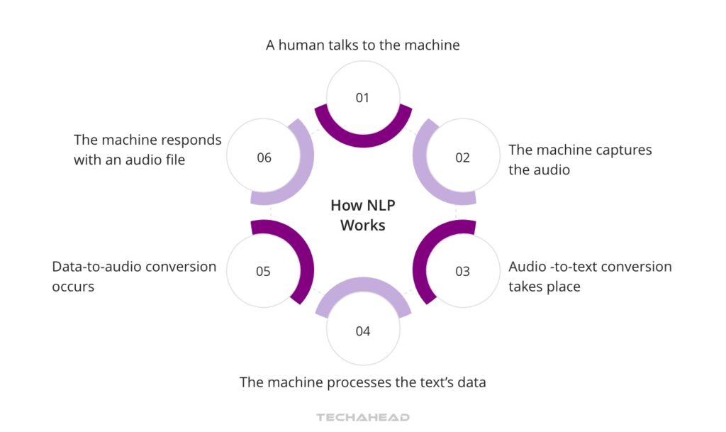 Natural Language Processing (NLP)