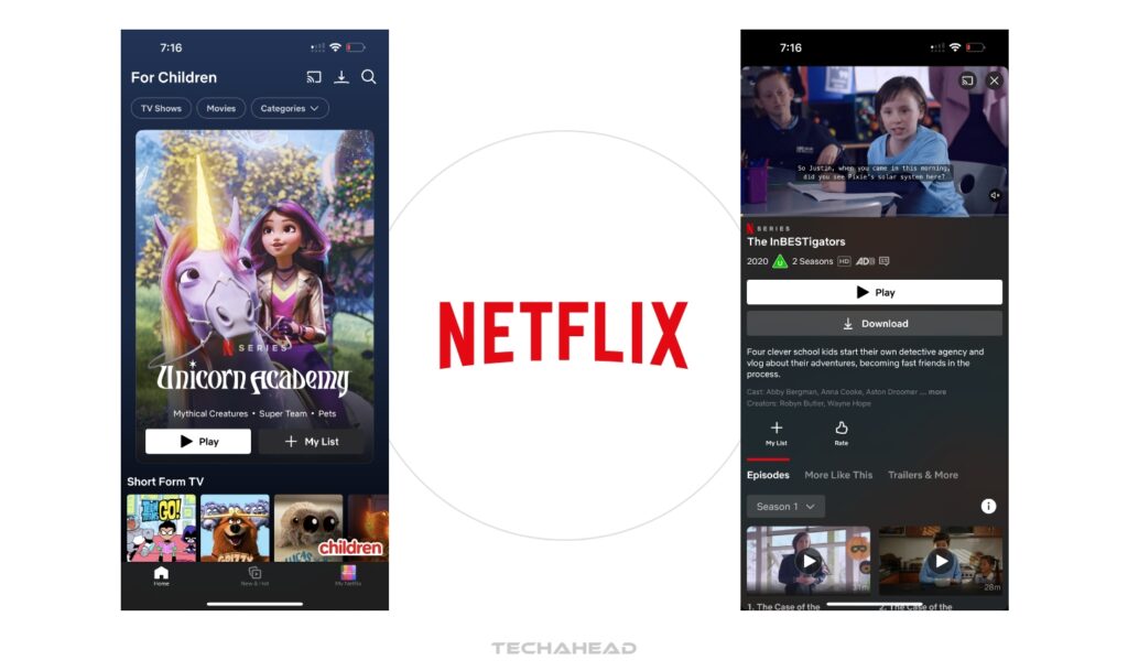 Netflix (Top OTT Platform)