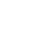 Custom Chatbot Development