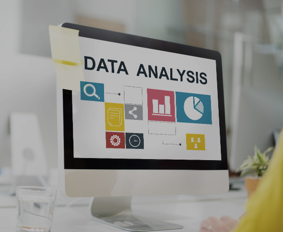 Data and Analysis Management