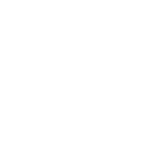 Experienced WordPress Developers