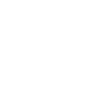 MVP Web Application Development